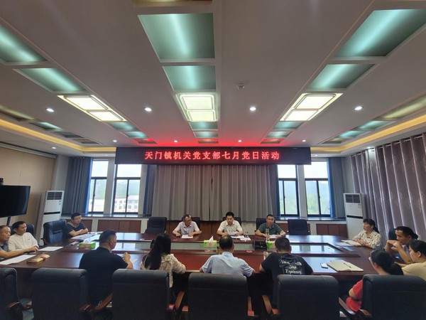 天门镇开展7月党日活动.jpg