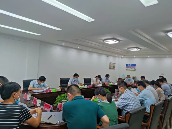 姚书记到顺安镇督查疫情防控工作.png