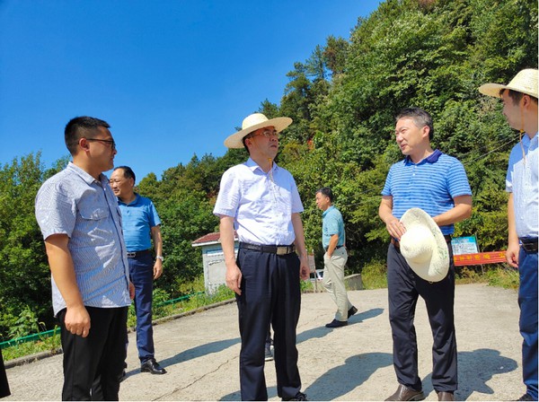 姚书记督查防溺水.png