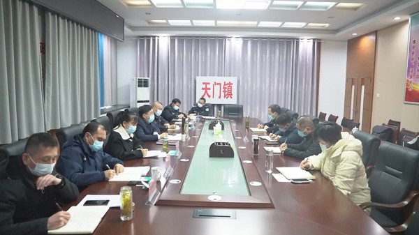 姚书记到天门镇调研.png