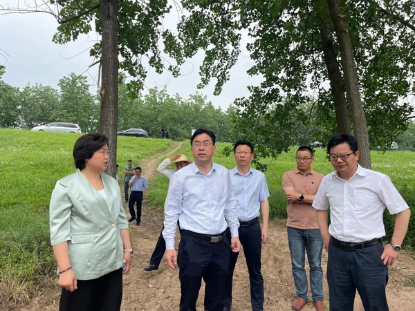 姚贵平督查粮食安全和耕地保护工作.jpg