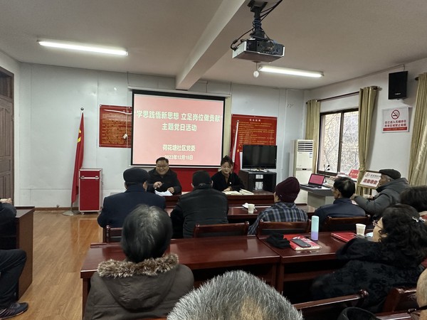 荷花塘社区开展“学思践悟新思想 立足岗位作贡献”主题党日活动.jpg