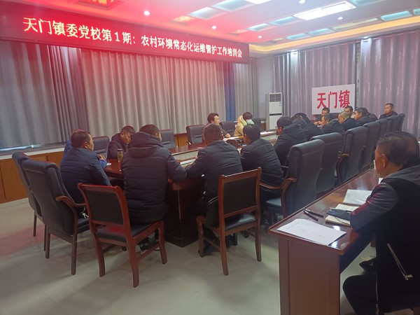 天门镇“点线面”结合助推组织生活提质增效1.jpg