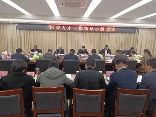 区委人才工作领导小组会议.jpg