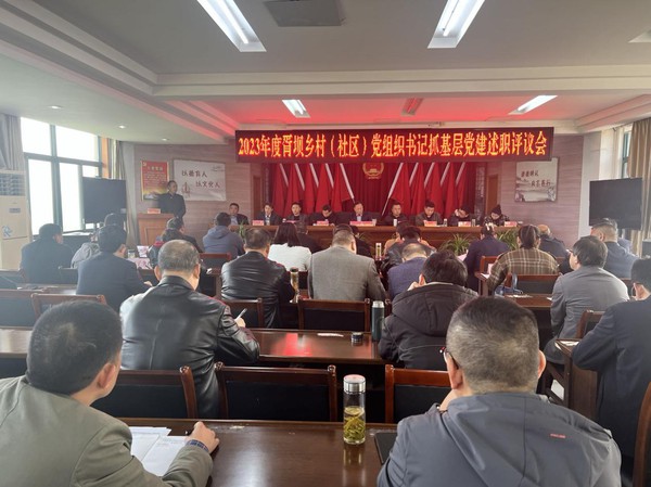 胥坝乡全力提高农村基层党组织建设质量.jpg