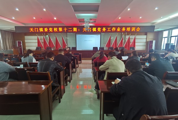 天门镇以“四个全面”推动乡村组织振兴1.jpg