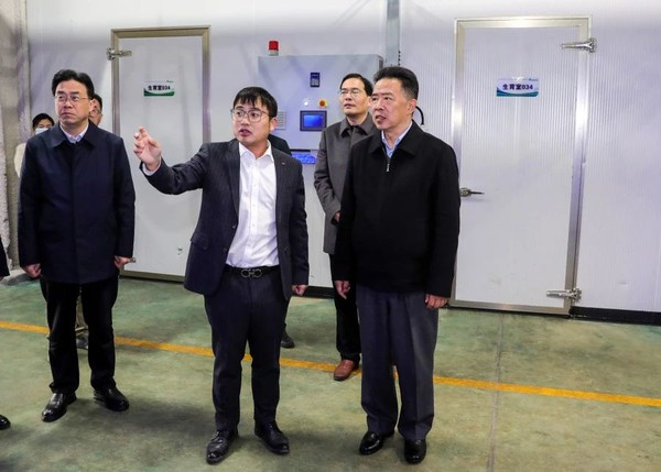 杨宏星调研义安区经济社会发展情况.jpg