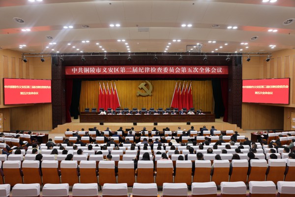 区纪委二届五次全体会议召开.png