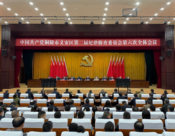 区纪委二届六次全会召开.png